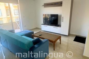 الإقامة مع معلم في غرفة المعيشة