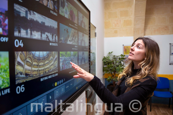 مدرسون محترفون وودودون