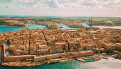 الطائر المبكر